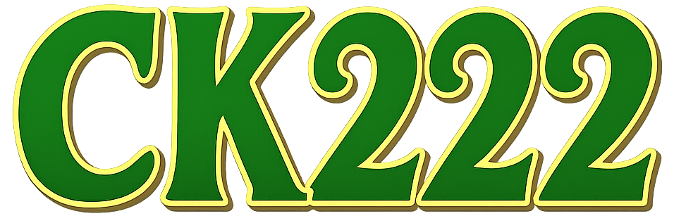bdjk222.com Logo